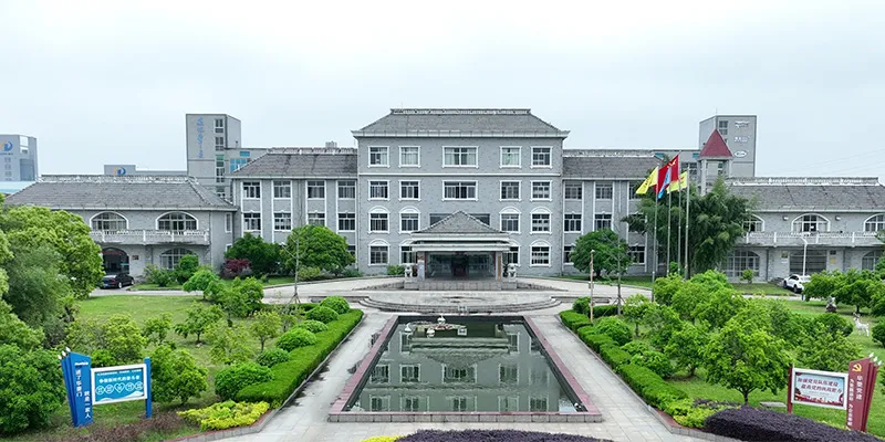 نبذة عن الشركة